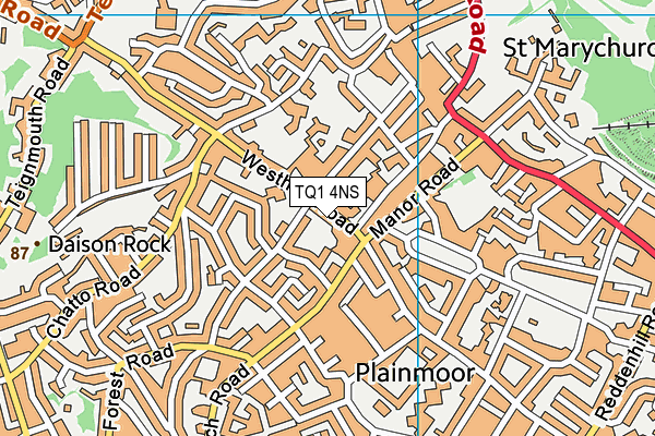 TQ1 4NS map - OS VectorMap District (Ordnance Survey)