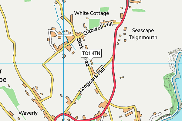 TQ1 4TN map - OS VectorMap District (Ordnance Survey)