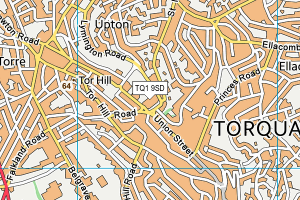 TQ1 9SD map - OS VectorMap District (Ordnance Survey)