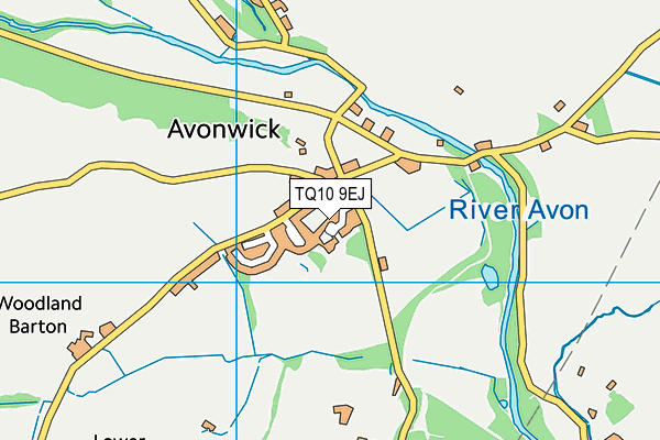 Avon Vale Tennis Club map (TQ10 9EJ) - OS VectorMap District (Ordnance Survey)