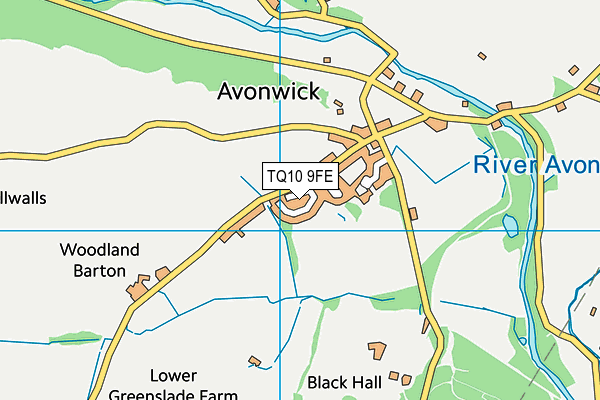 TQ10 9FE map - OS VectorMap District (Ordnance Survey)