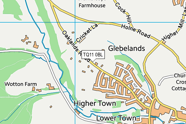 Buckfastleigh Recreation Ground map (TQ11 0BL) - OS VectorMap District (Ordnance Survey)