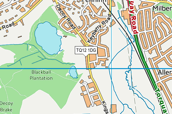 TQ12 1DG map - OS VectorMap District (Ordnance Survey)