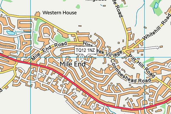 TQ12 1NZ map - OS VectorMap District (Ordnance Survey)