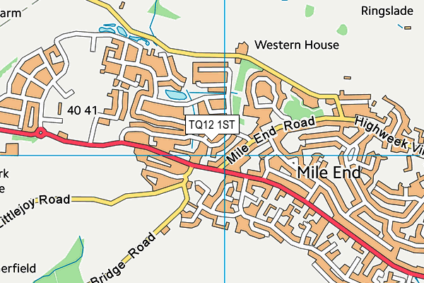 TQ12 1ST map - OS VectorMap District (Ordnance Survey)