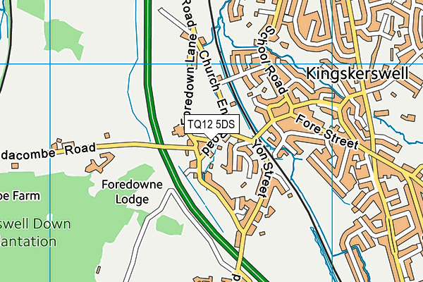 TQ12 5DS map - OS VectorMap District (Ordnance Survey)
