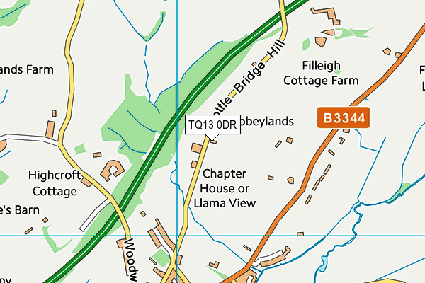 TQ13 0DR map - OS VectorMap District (Ordnance Survey)