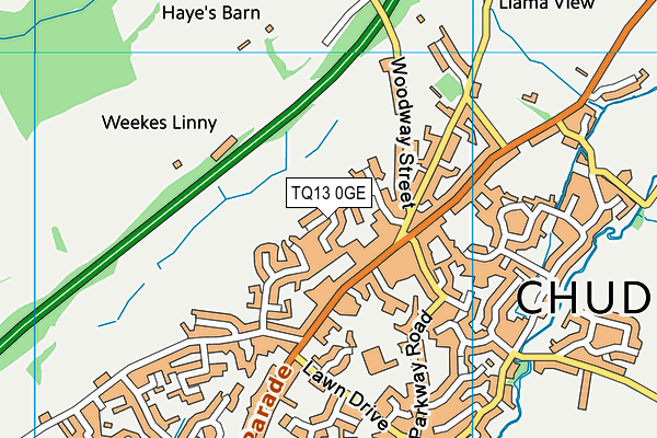 TQ13 0GE map - OS VectorMap District (Ordnance Survey)