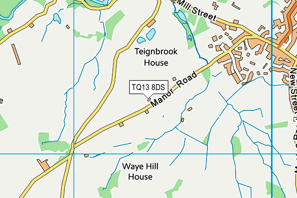 TQ13 8DS map - OS VectorMap District (Ordnance Survey)