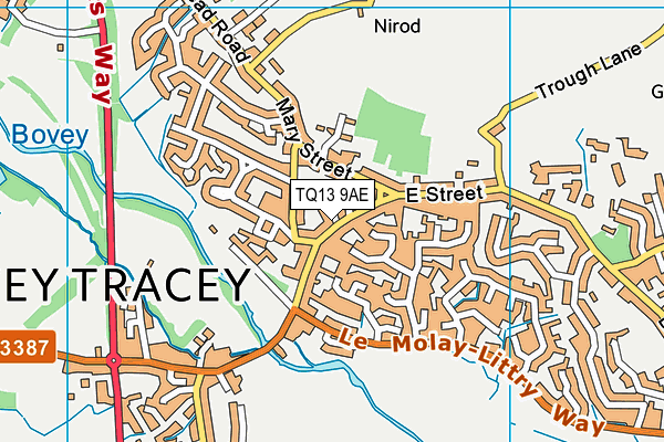 TQ13 9AE map - OS VectorMap District (Ordnance Survey)