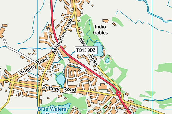 TQ13 9DZ map - OS VectorMap District (Ordnance Survey)