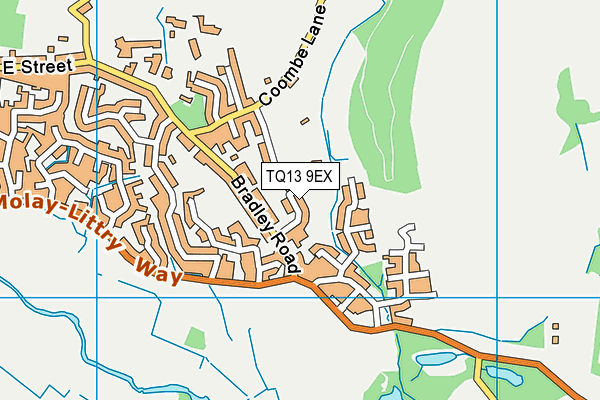 TQ13 9EX map - OS VectorMap District (Ordnance Survey)