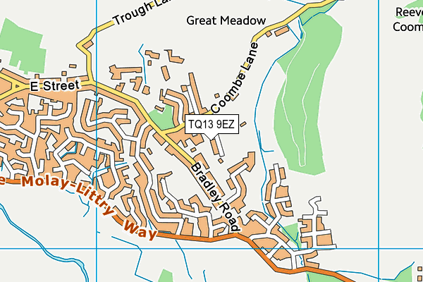 TQ13 9EZ map - OS VectorMap District (Ordnance Survey)