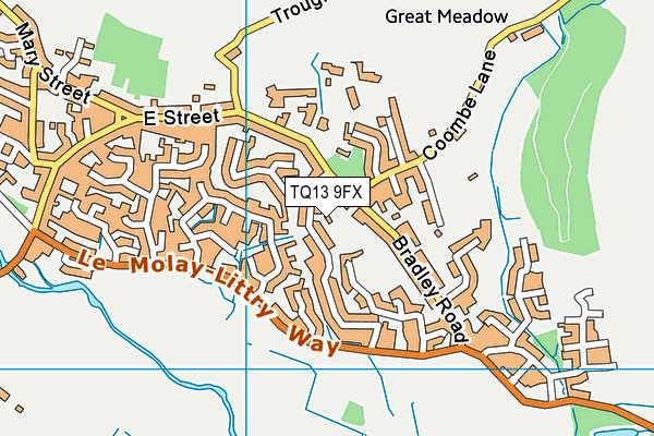TQ13 9FX map - OS VectorMap District (Ordnance Survey)