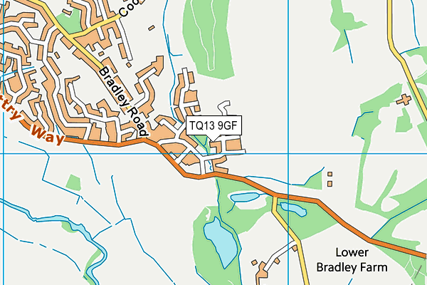 TQ13 9GF map - OS VectorMap District (Ordnance Survey)