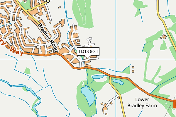 TQ13 9GJ map - OS VectorMap District (Ordnance Survey)