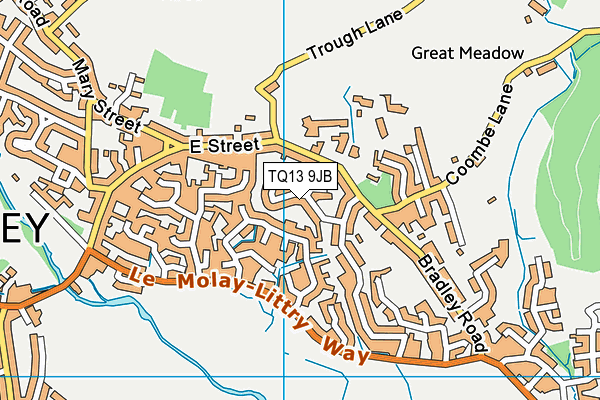 TQ13 9JB map - OS VectorMap District (Ordnance Survey)