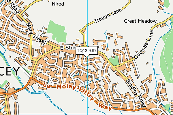 TQ13 9JD map - OS VectorMap District (Ordnance Survey)