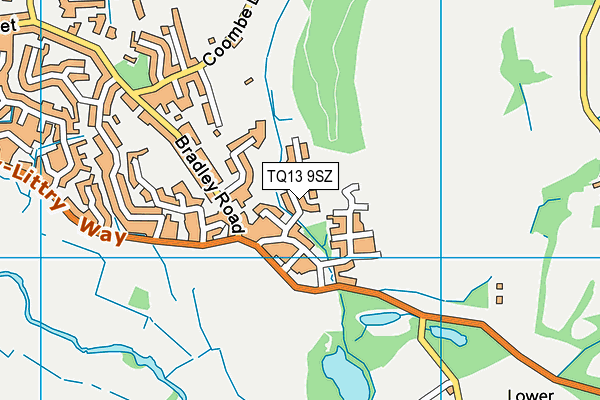 TQ13 9SZ map - OS VectorMap District (Ordnance Survey)