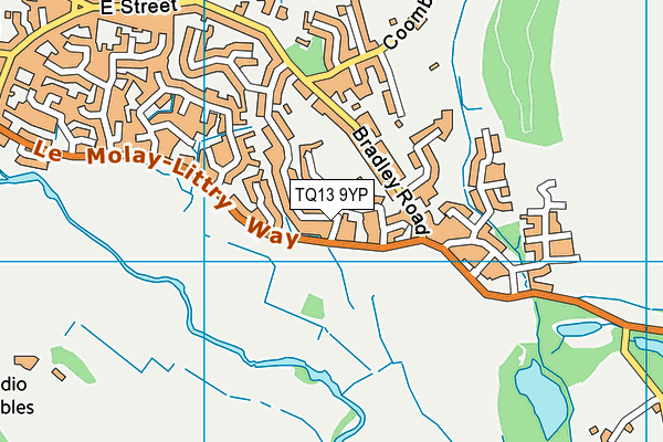 TQ13 9YP map - OS VectorMap District (Ordnance Survey)