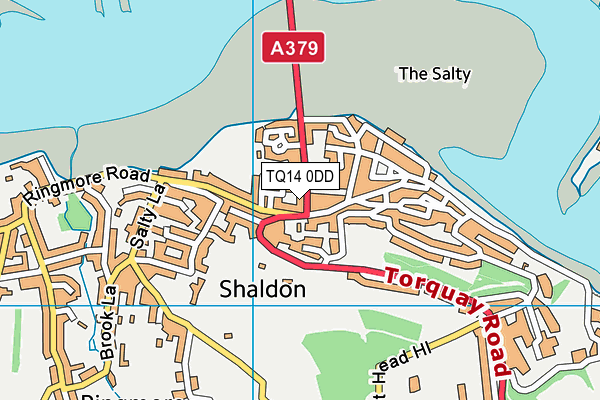 Shaldon Primary School map (TQ14 0DD) - OS VectorMap District (Ordnance Survey)