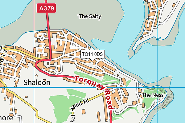 TQ14 0DS map - OS VectorMap District (Ordnance Survey)