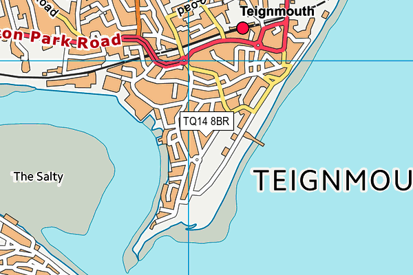 TQ14 8BR map - OS VectorMap District (Ordnance Survey)
