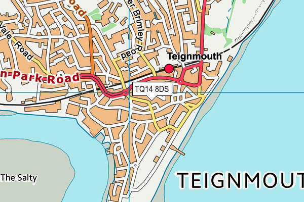 TQ14 8DS map - OS VectorMap District (Ordnance Survey)