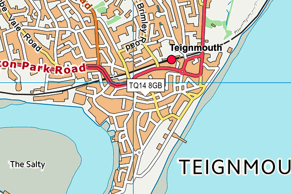 TQ14 8GB map - OS VectorMap District (Ordnance Survey)