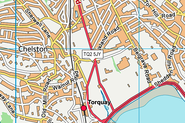 Torre Valley South Playing Fields map (TQ2 5JY) - OS VectorMap District (Ordnance Survey)