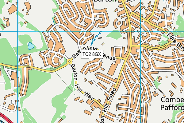 TQ2 8GX map - OS VectorMap District (Ordnance Survey)