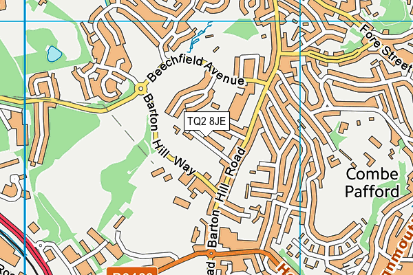 TQ2 8JE map - OS VectorMap District (Ordnance Survey)