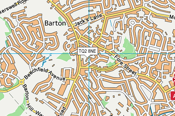 TQ2 8NE map - OS VectorMap District (Ordnance Survey)