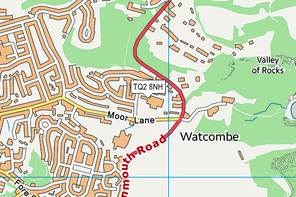 Mayfield School (Torquay) map (TQ2 8NH) - OS VectorMap District (Ordnance Survey)