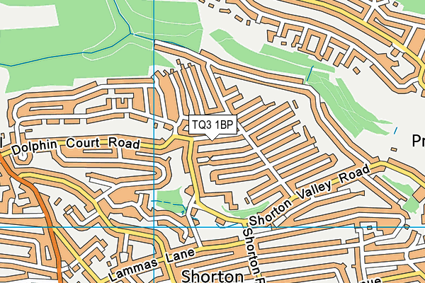 TQ3 1BP map - OS VectorMap District (Ordnance Survey)