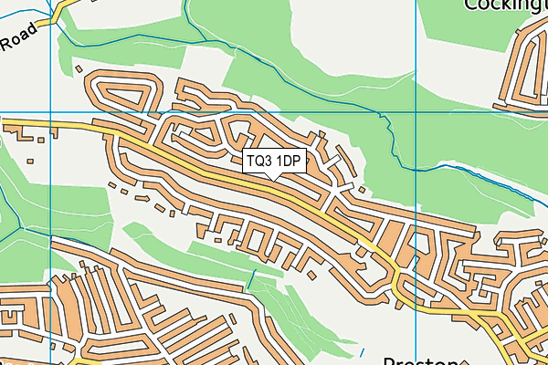 TQ3 1DP map - OS VectorMap District (Ordnance Survey)
