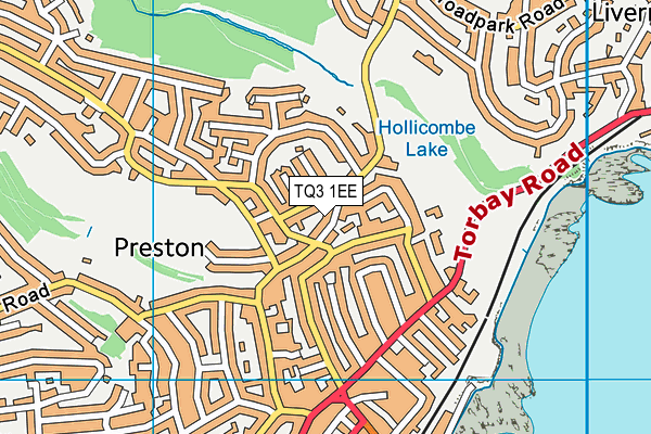 TQ3 1EE map - OS VectorMap District (Ordnance Survey)