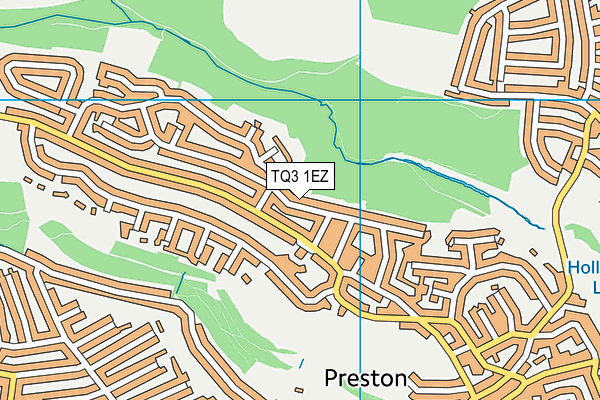 TQ3 1EZ map - OS VectorMap District (Ordnance Survey)