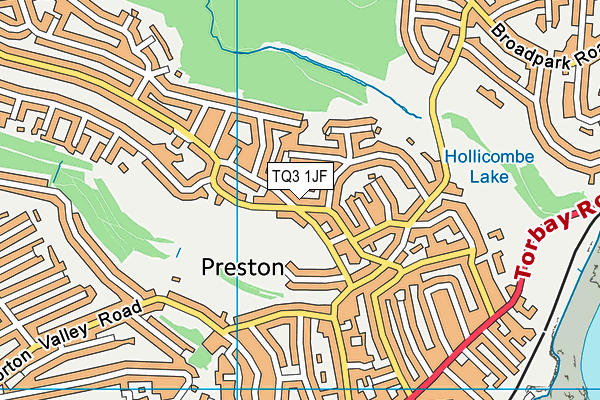 TQ3 1JF map - OS VectorMap District (Ordnance Survey)