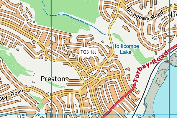 TQ3 1JJ map - OS VectorMap District (Ordnance Survey)