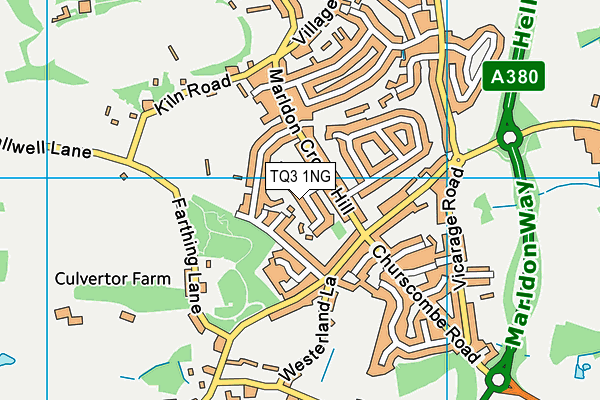 TQ3 1NG map - OS VectorMap District (Ordnance Survey)