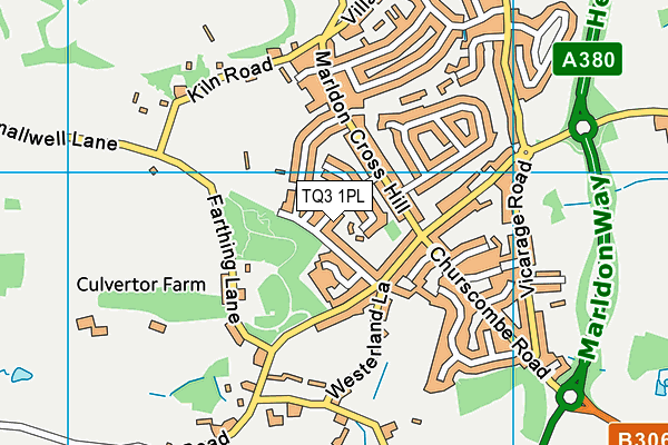 TQ3 1PL map - OS VectorMap District (Ordnance Survey)