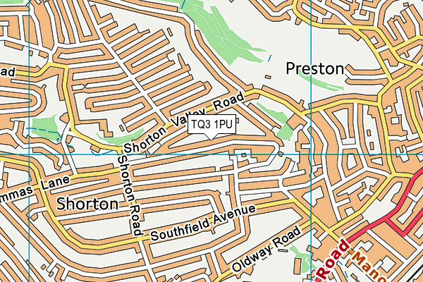 TQ3 1PU map - OS VectorMap District (Ordnance Survey)