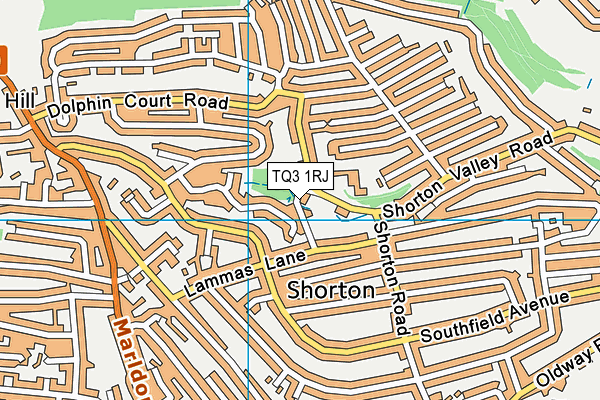 TQ3 1RJ map - OS VectorMap District (Ordnance Survey)