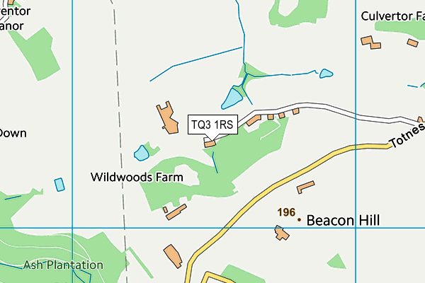 TQ3 1RS map - OS VectorMap District (Ordnance Survey)