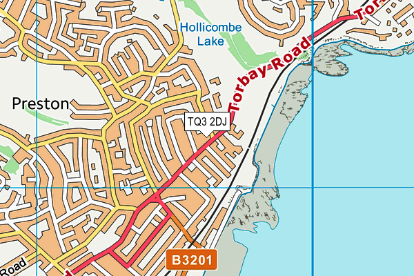 TQ3 2DJ map - OS VectorMap District (Ordnance Survey)
