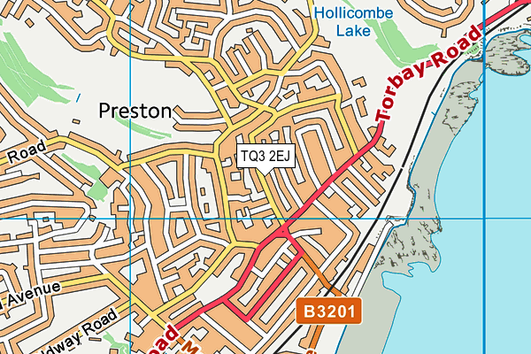 TQ3 2EJ map - OS VectorMap District (Ordnance Survey)
