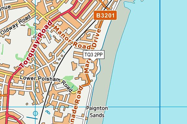 TQ3 2PP map - OS VectorMap District (Ordnance Survey)
