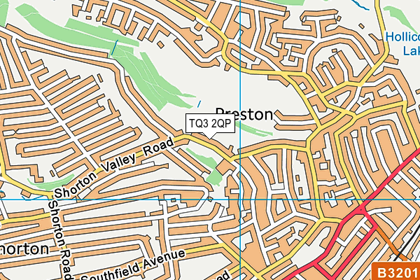 TQ3 2QP map - OS VectorMap District (Ordnance Survey)
