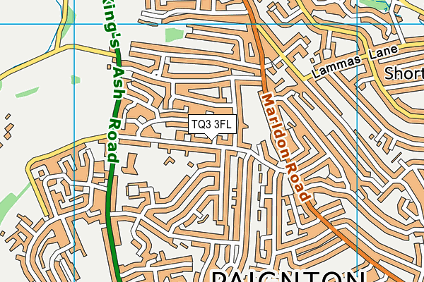 TQ3 3FL map - OS VectorMap District (Ordnance Survey)